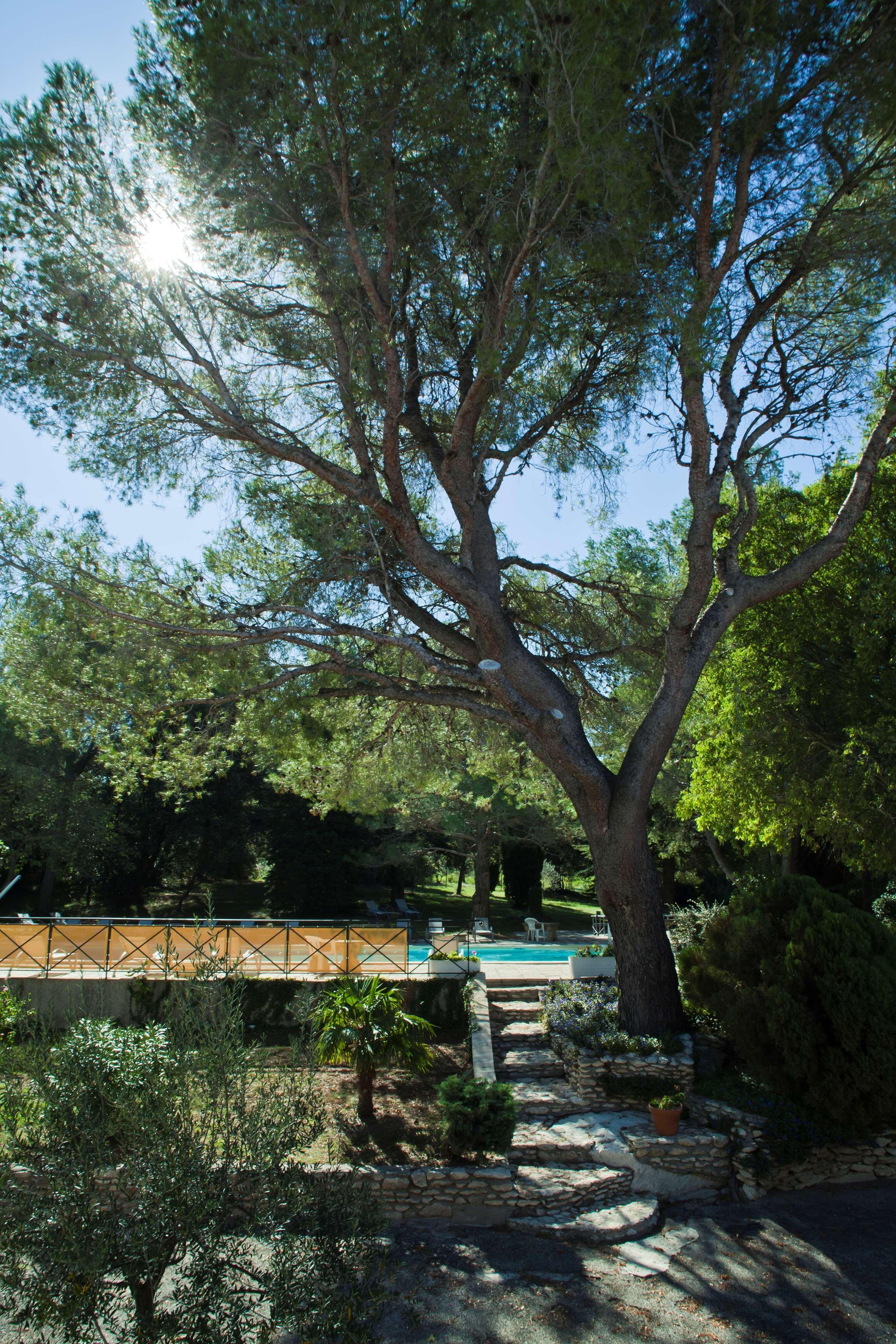 Best Western Le Val Majour Fontvieille Eksteriør billede